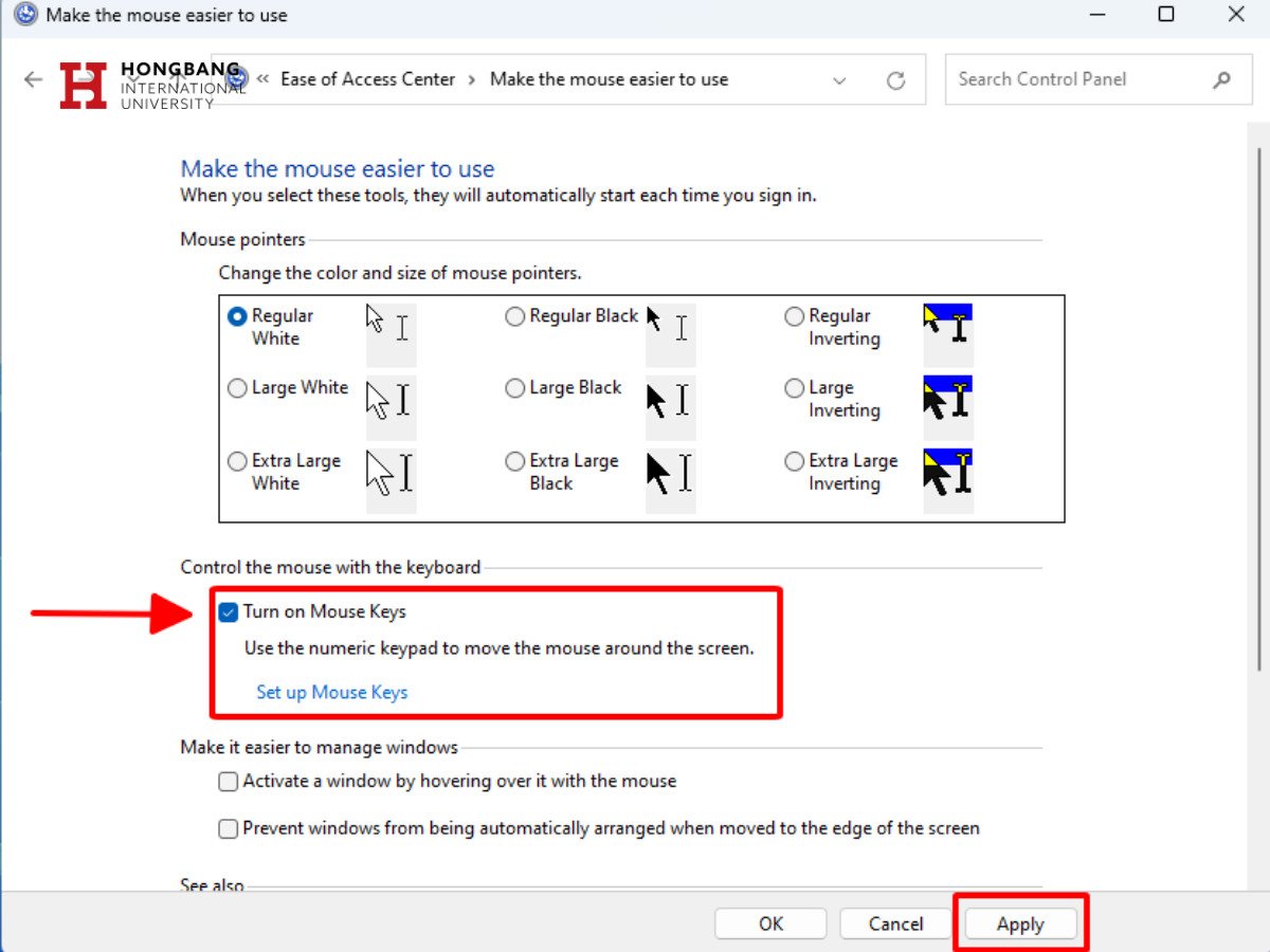 Tích chọn Turn on Mouse Keys và nhấn Apply