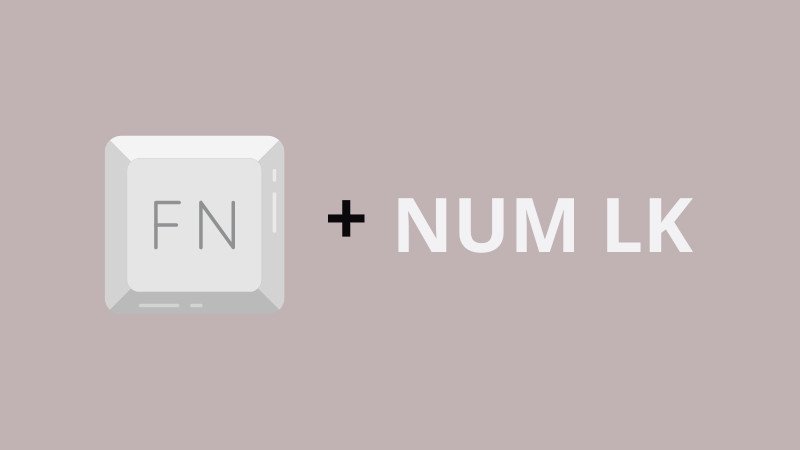 Tổ hợp phím Fn và Numlock trên bàn phím laptop để khắc phục lỗi gõ số