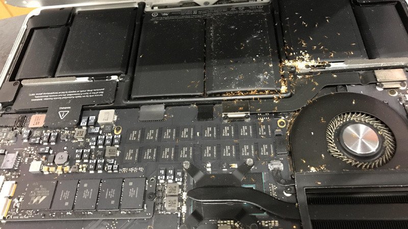 Tổ kiến bên trong laptop, một mối nguy hiểm tiềm ẩn cho các linh kiện
