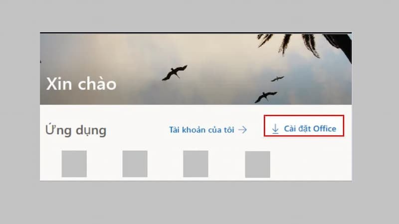 Tùy chọn cài đặt Office 365 trên hệ thống