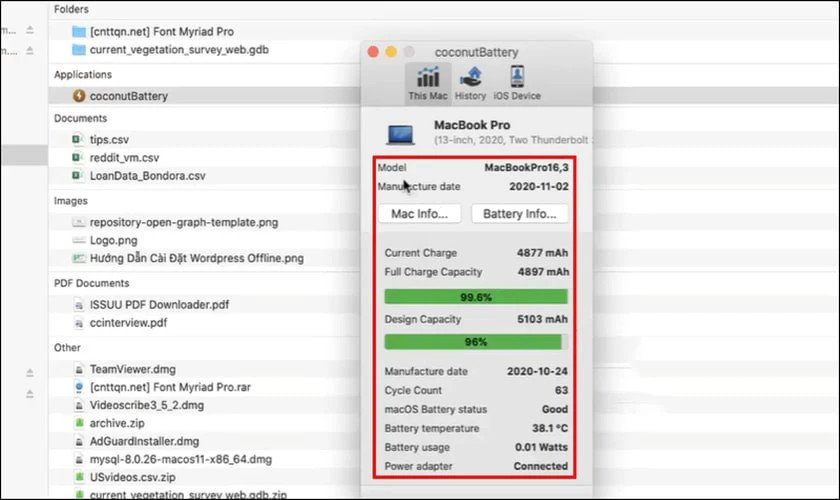 Ứng dụng Coconut Battery hiển thị thông tin chi tiết về pin thiết bị
