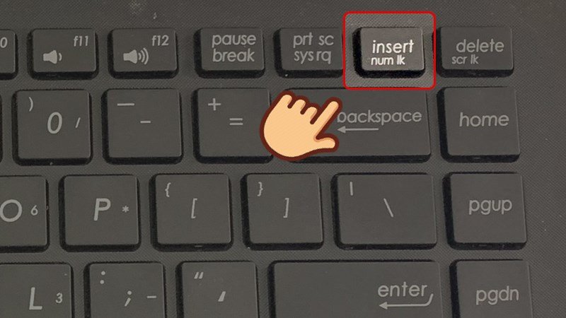 Vị trí nút Fn và Num Lk trên bàn phím laptop để bật hoặc tắt chế độ số