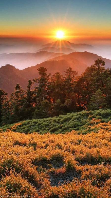 Wallpaper phong cảnh núi rừng cho điện thoại với cảnh hoàng hôn
