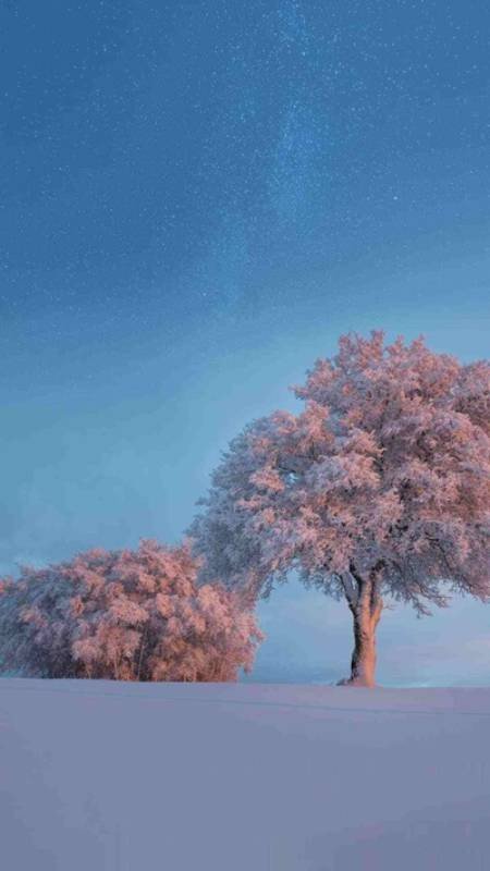 Wallpaper phong cảnh tuyết rơi cho điện thoại với con đường nhỏ