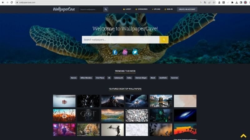 WallpaperCave tổng hợp hình nền laptop dễ thương với nhiều chủ đề