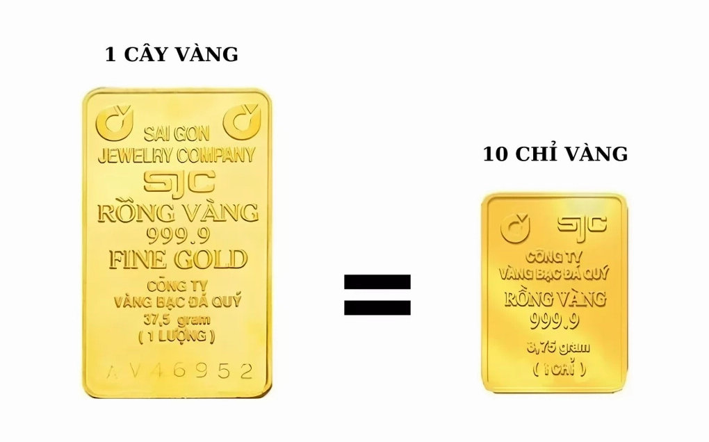 1-cay-vang-gia-bao-nhieu-2026-cap-nhat-moi-nhat_458