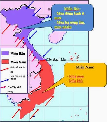 Gió Mùa Hạ Việt Nam: Thời Gian Hoạt Động & Ảnh Hưởng 2026 Đặc điểm gió mùa hạ