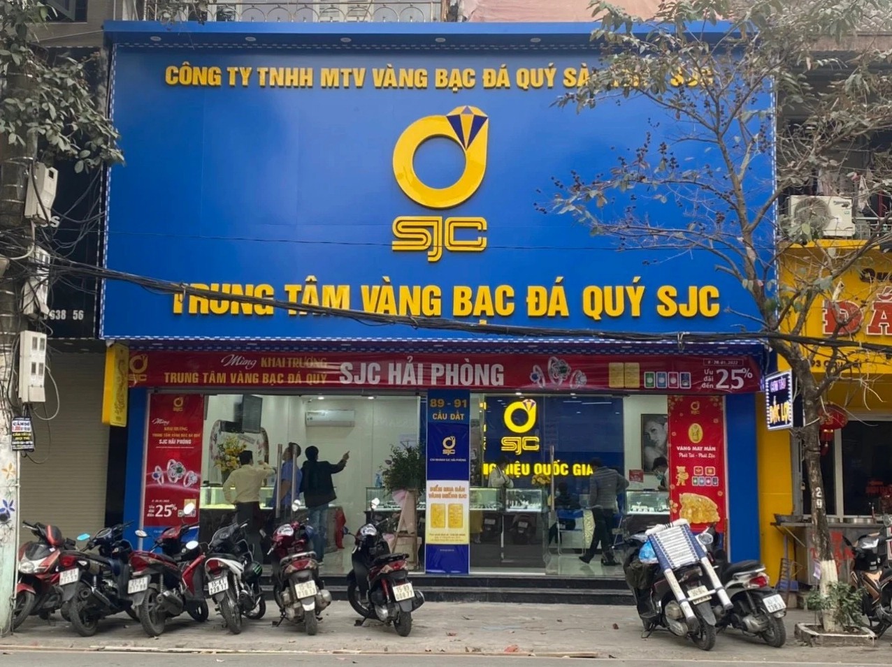 SJC Hải Phòng 2026: Cập Nhật Giá Vàng và Xu Hướng Mới Nhất Biểu đồ biến động giá vàng SJC