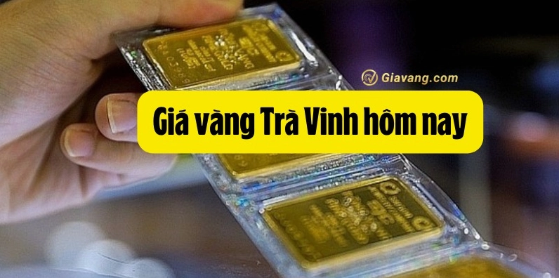 Giá vàng Trà Vinh hôm nay 2026: Cập nhật & Phân tích chi tiết Biểu đồ biến động giá vàng thế giới