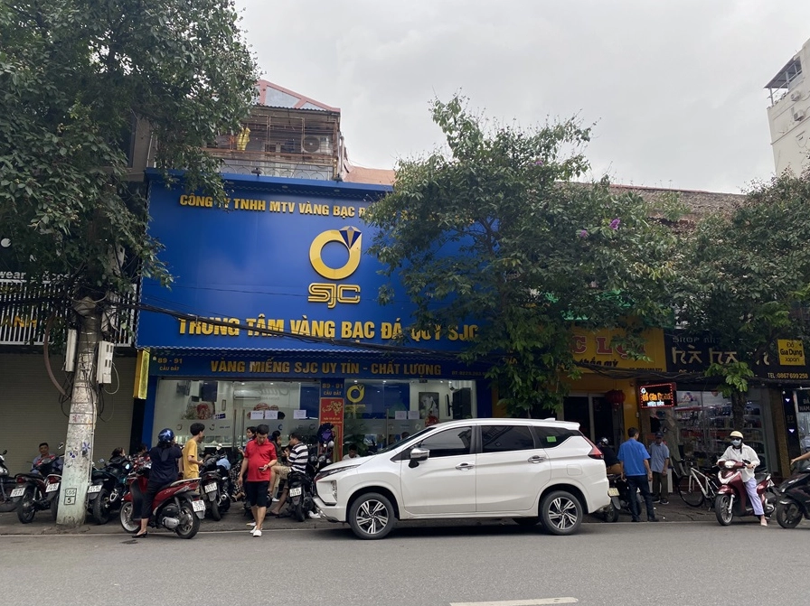 SJC Hải Phòng 2026: Cập Nhật Giá Vàng và Xu Hướng Mới Nhất Biểu đồ giá vàng SJC tại Hải Phòng