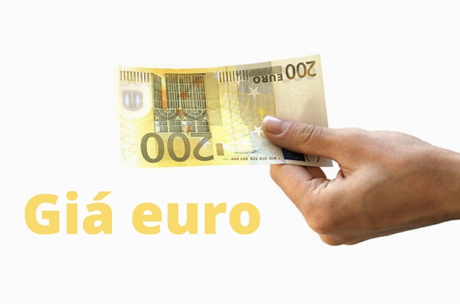 Biểu đồ so sánh tỷ giá Euro và USD