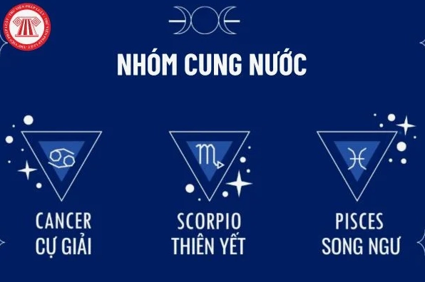 Giải Mã Cung Nước: Gồm Cung Nào Và Đặc Điểm Chi Tiết 2026 Biểu tượng nhóm cung nước trong chiêm tinh