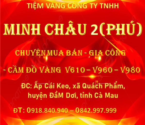 Biểu tượng thương hiệu vàng PNJ