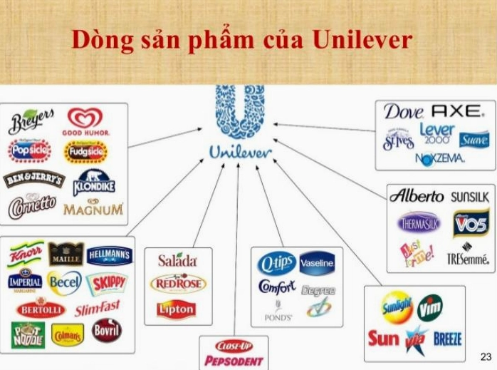 Unilever của nước nào? Lịch sử và tầm ảnh hưởng toàn cầu Các sản phẩm của Unilever