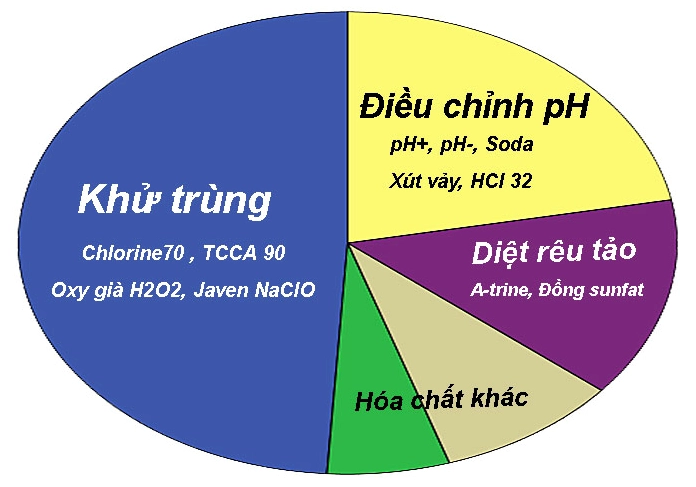 cau-o-kien-thuc-chat-nao-khu-trung-nuoc-be-boi-hieu-qua-nhat_436