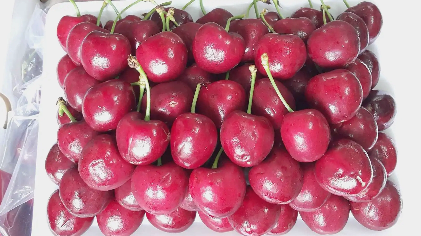 cherry-chile-cua-nuoc-nao-kham-pha-nguon-goc-va-ac-iem-oc-ao_603