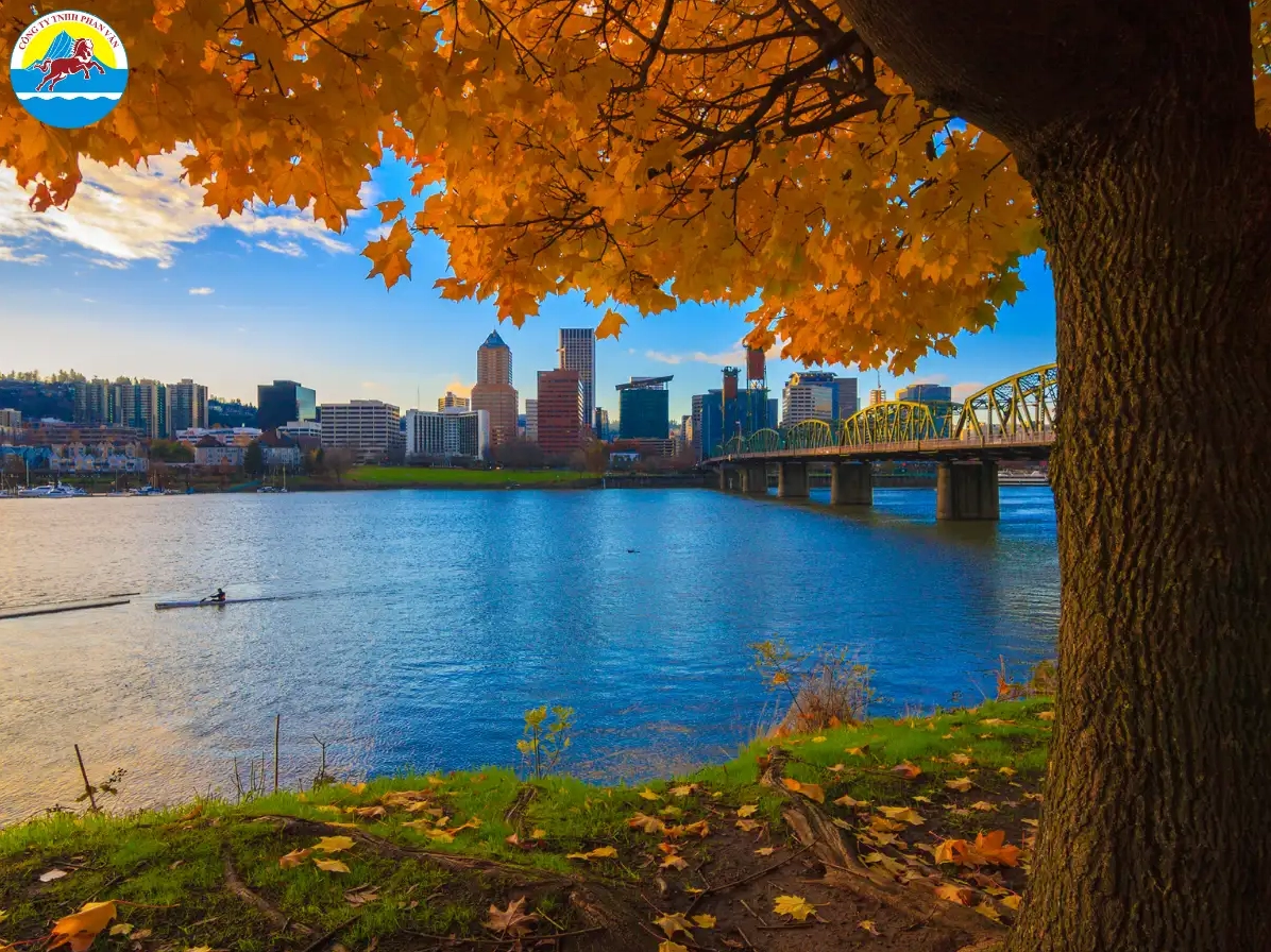 Công viên Forest Park xanh mướt tại Portland