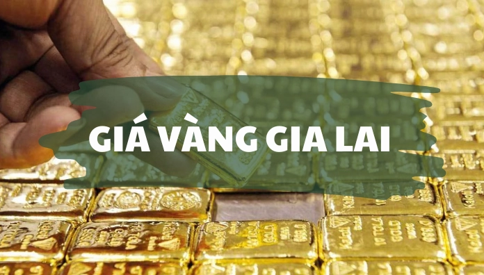 gia-vang-hom-nay-tai-gia-lai-cap-nhat-moi-nhat-2026_567