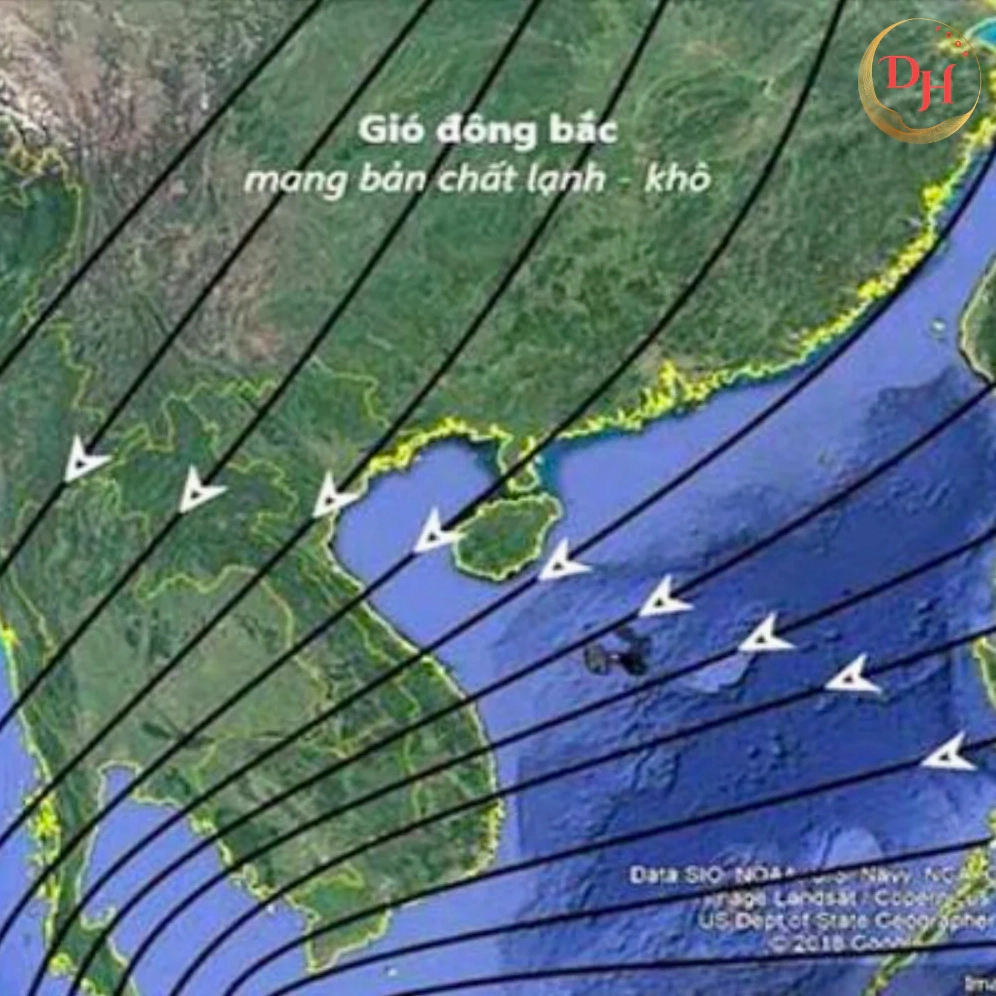 gio-mua-ong-bac-manh-nhat-o-au-viet-nam_827