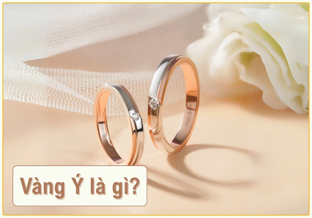 Hình ảnh minh họa vàng y