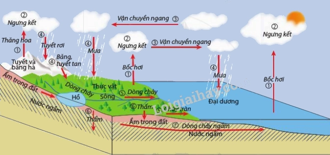 Nước trong Thủy quyển: Dạng nào chiếm ưu thế nhất? Hình ảnh sông băng tan chảy