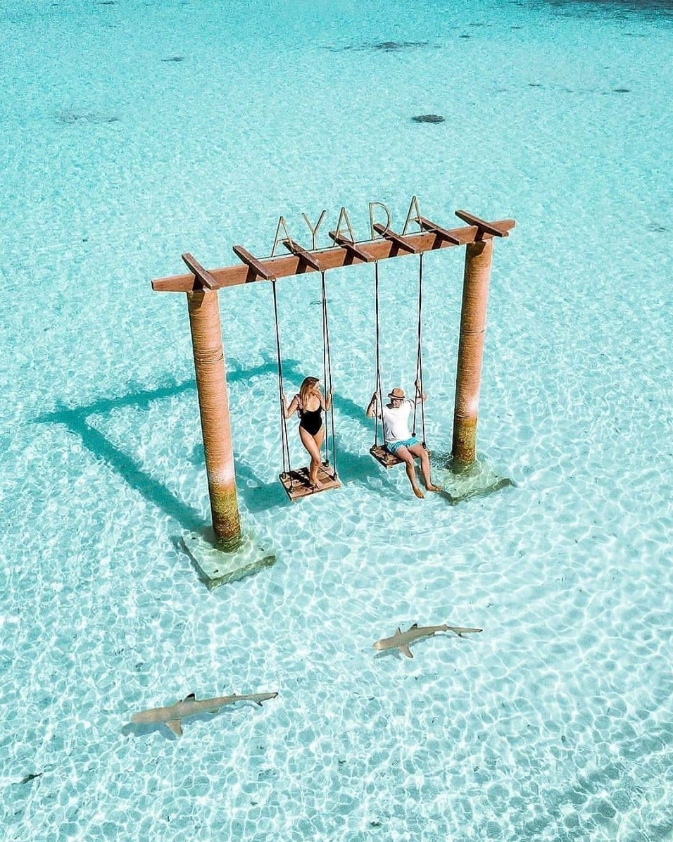 Maldives Là Nước Nào? Khám Phá Thiên Đường Maldives 2026 Hoạt động lặn biển ngắm san hô ở Maldives