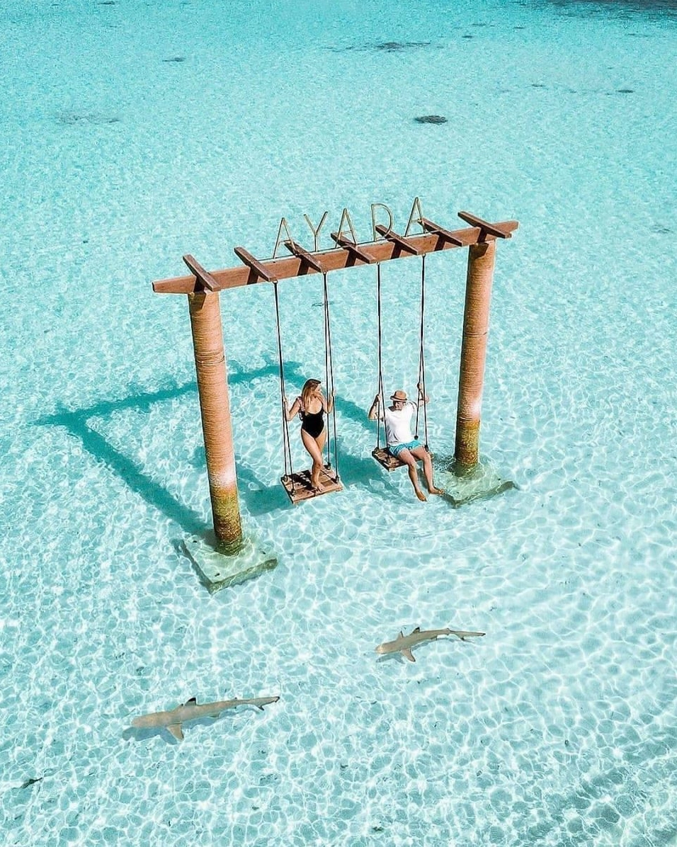 Maldives Ở Nước Nào? Khám Phá Thiên Đường Biển Đảo Nhiệt Đới 2026 Hoạt động lặn biển ngắm san hô tại Maldives