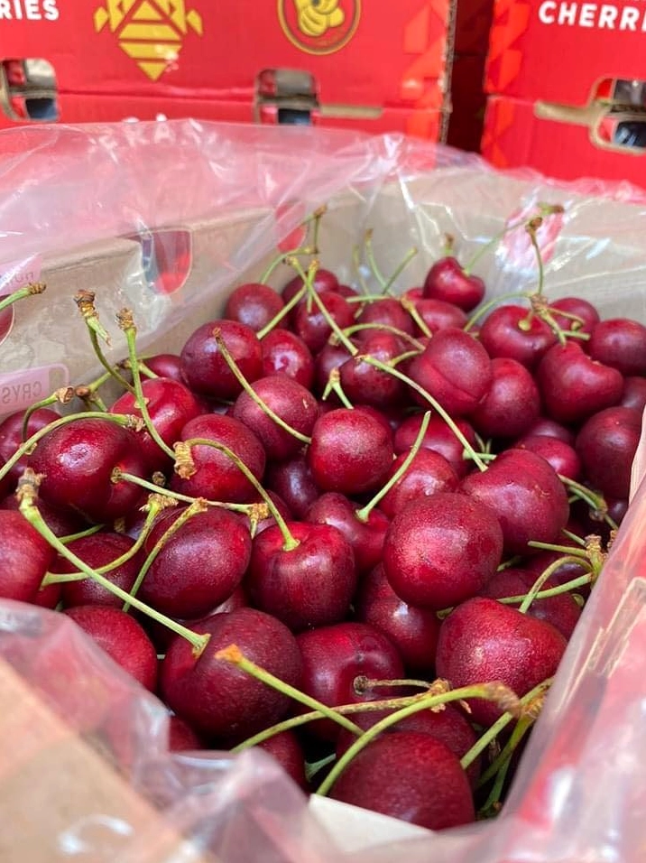 Cherry Chile Của Nước Nào? Khám Phá Nguồn Gốc Và Đặc Điểm Độc Đáo Đĩa cherry chile tươi ngon mắt
