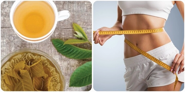 Lá ổi tươi tốt cho sức khỏe