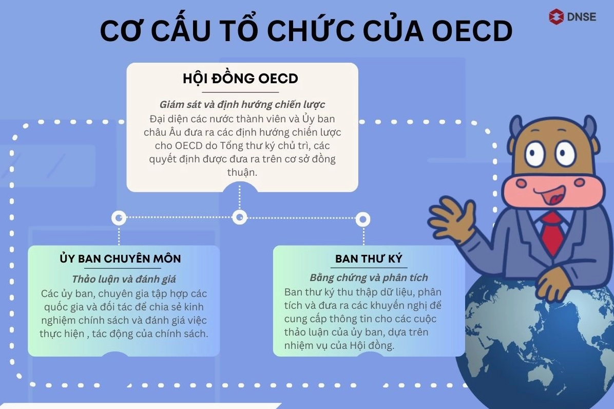 OECD Gồm Những Nước Nào? Danh Sách Mới Nhất 2026 Logo OECD và các quốc gia thành viên