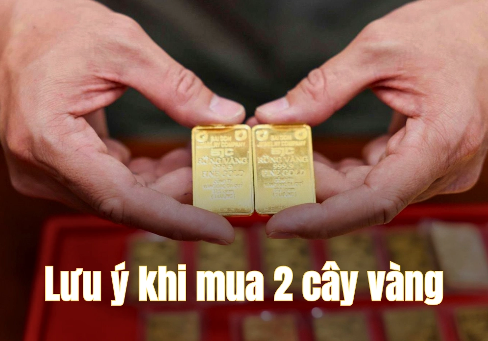2 Cây Vàng Là Bao Nhiêu Tiền? Cập Nhật Giá Mới Nhất 2026 Lưu ý khi mua 2 cây vàng