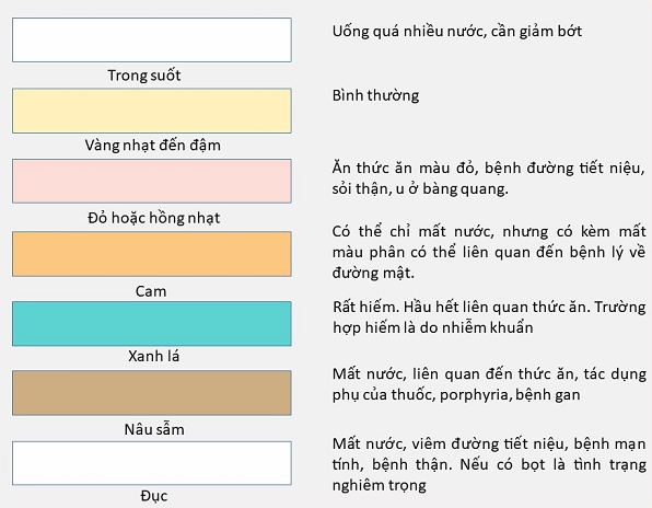 Nước tiểu như thế nào là bình thường? Dấu hiệu nhận biết Màu sắc nước tiểu thông thường