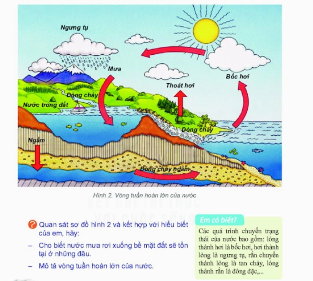 Nước trong Thủy quyển: Dạng nào chiếm ưu thế nhất? Minh họa vòng tuần hoàn của nước