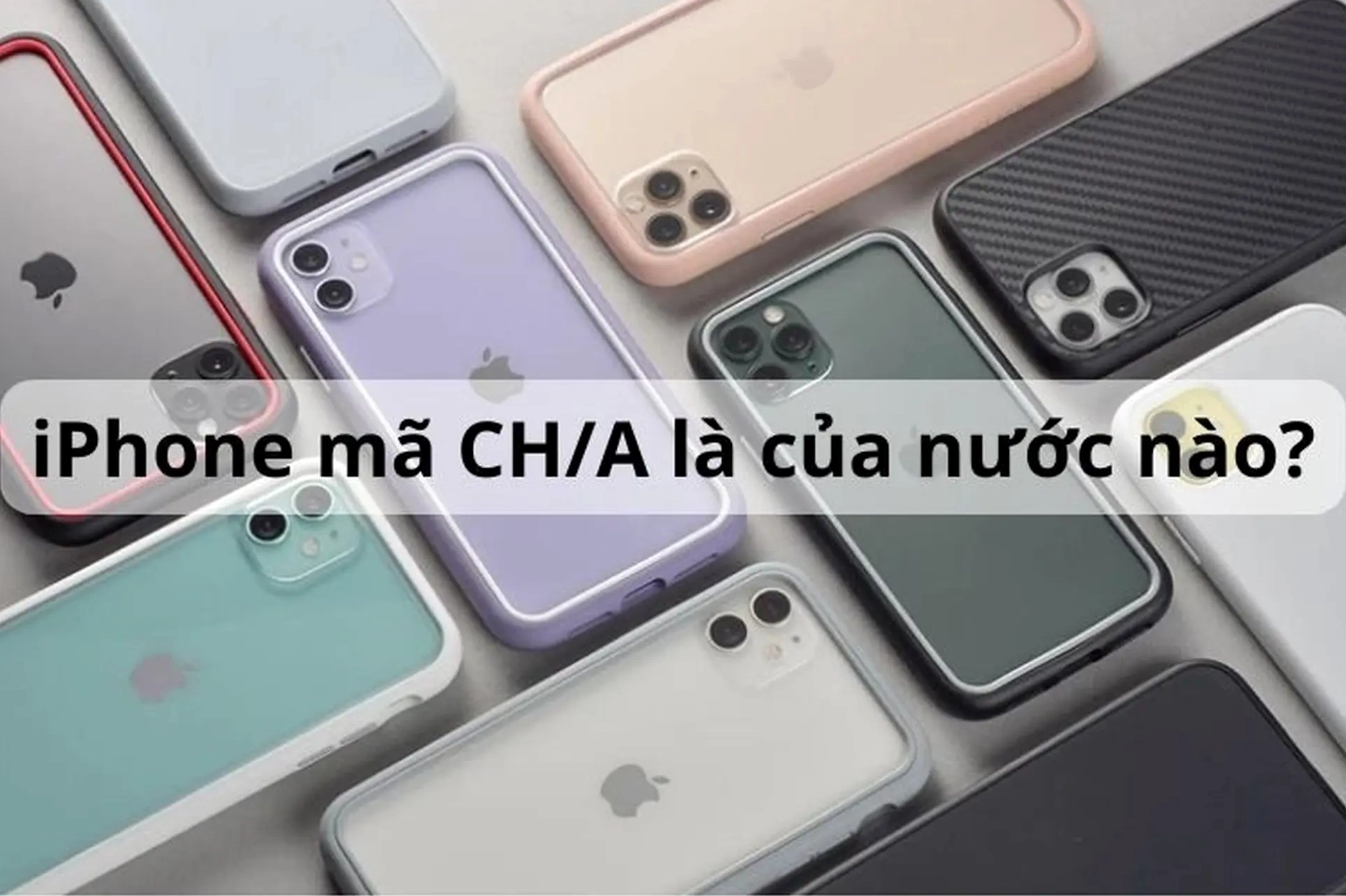 CH Là Nước Nào? Giải Mã Nguồn Gốc Và Ý Nghĩa Đặc Biệt Người Thụy Sĩ thưởng thức món ăn truyền thống