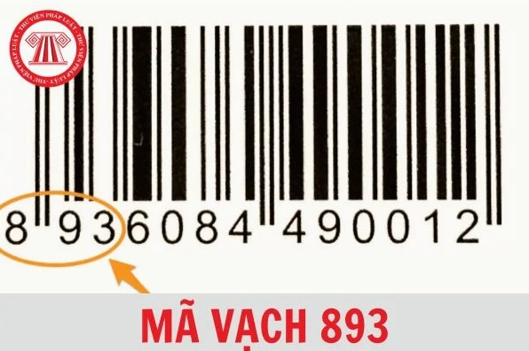Mã Vạch 893: Khám Phá Nguồn Gốc và Ý Nghĩa Từ A-Z (2026) Người tiêu dùng kiểm tra mã vạch sản phẩm bằng điện thoại