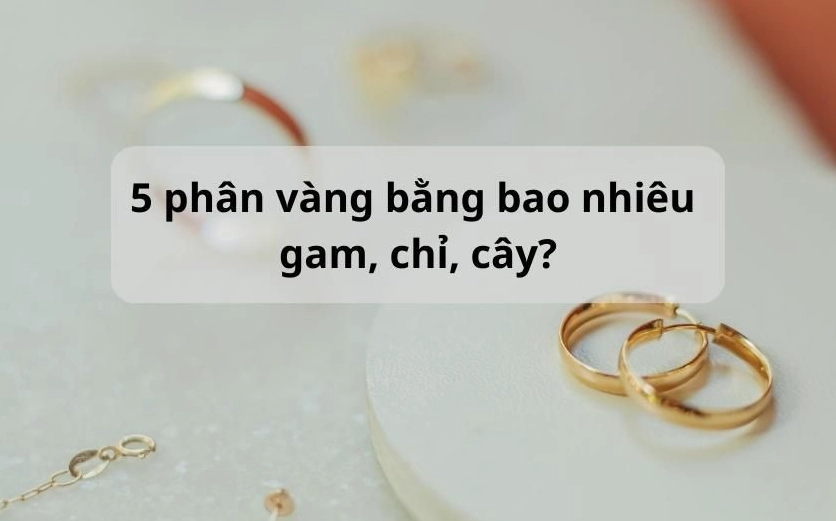 Phân tích giá 5 phân vàng 9999 theo các yếu tố thị trường