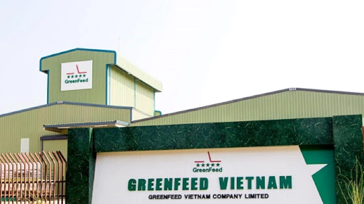 Greenfeed của nước nào? Hé lộ nguồn gốc và định hướng phát triển 2026 Sản phẩm thức ăn chăn nuôi đa dạng của Greenfeed