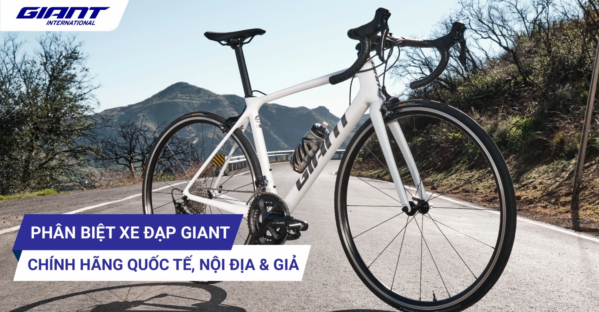 Xe Đạp Giant Của Nước Nào? Khám Phá Nguồn Gốc & Chất Lượng Showroom xe đạp Giant