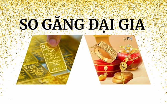 SJC và PNJ: Phân Tích Chuyên Sâu Xu Hướng Giá Vàng 2026 So sánh vàng SJC và PNJ