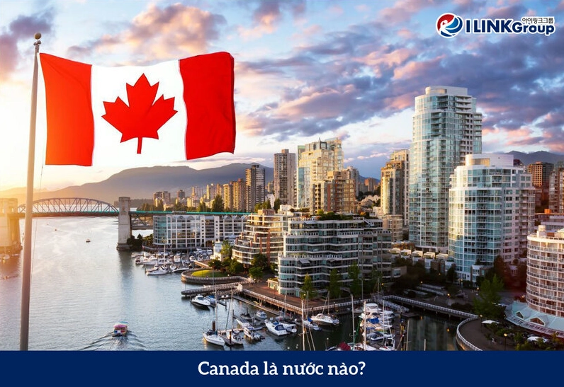 Canada Thuộc Nước Nào? Khám Phá Vị Trí Địa Lý và Thế Giới 2026 Thành phố Toronto, Canada