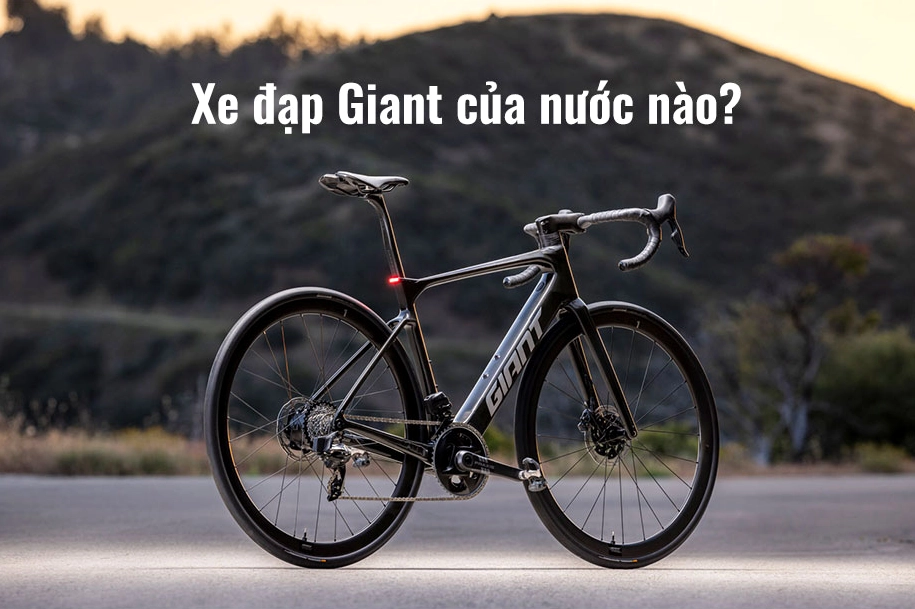 Xe Đạp Giant Của Nước Nào? Khám Phá Nguồn Gốc & Chất Lượng Tổng quan các dòng xe đạp Giant