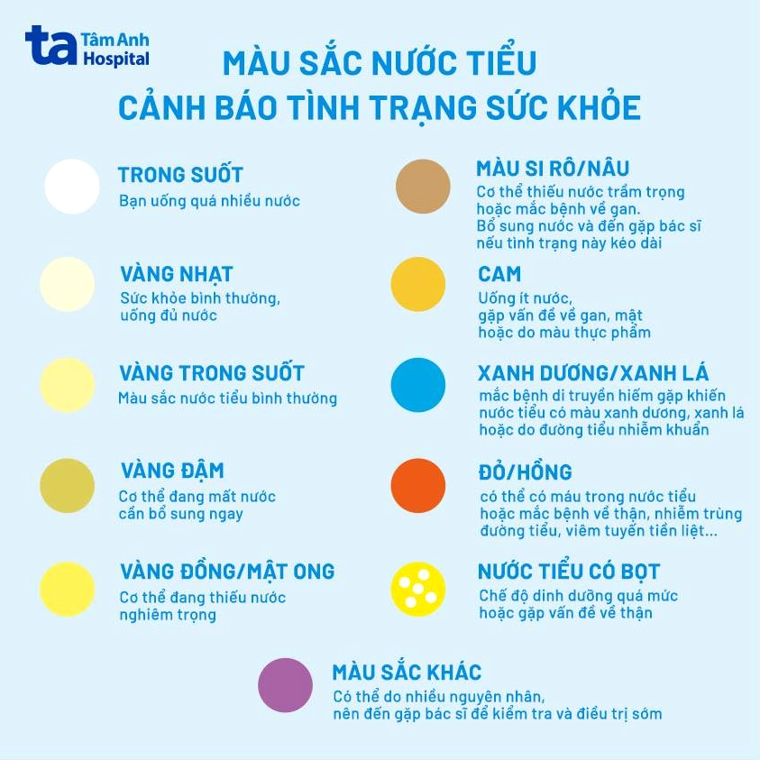 Nước tiểu như thế nào là bình thường? Dấu hiệu nhận biết Tổng quan màu sắc nước tiểu và ý nghĩa