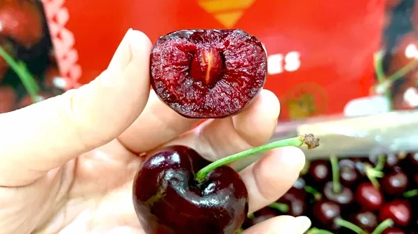 Cherry Chile Của Nước Nào? Khám Phá Nguồn Gốc Và Đặc Điểm Độc Đáo Trái cherry chile chín mọng với nhiều vitamin