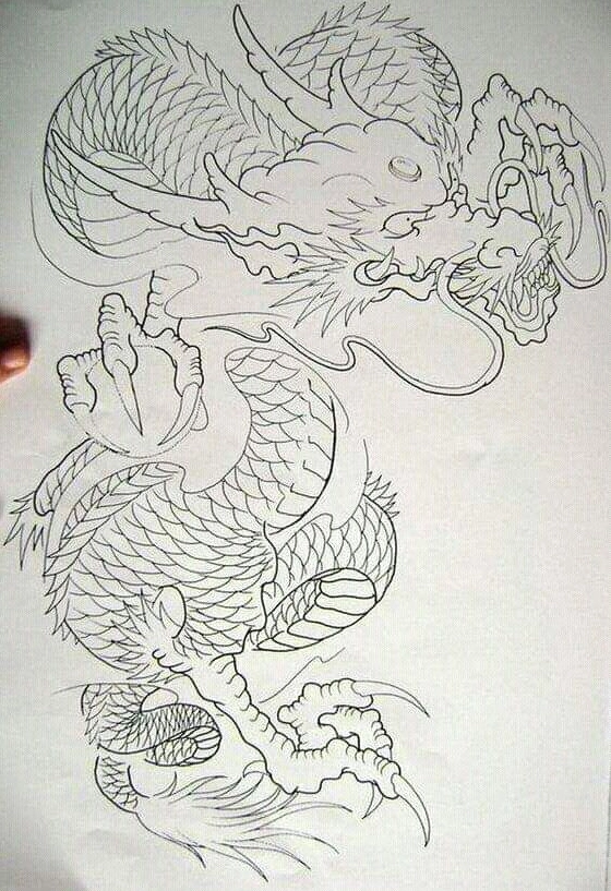 ban-ve-hinh-xam-rong-huong-dan-chon-mau-oc-ao-2026_582