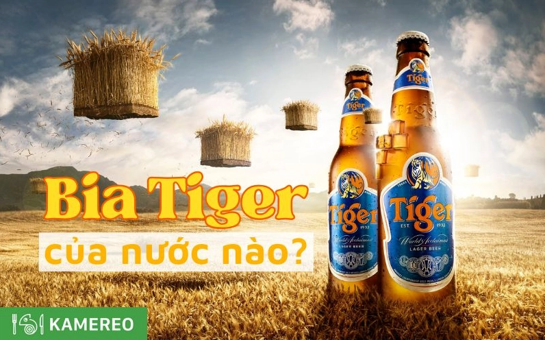 Bia Tiger của nước nào? Lịch sử và Sự phát triển toàn cầu Bộ sưu tập các loại bia Tiger