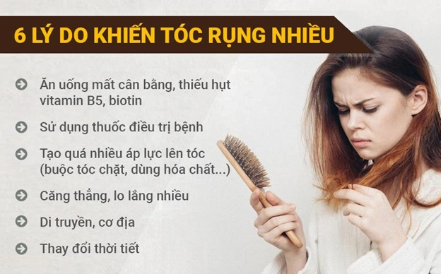 Tại Sao Tóc Rụng Nhiều? Khám Phá Lý Do Chuyên Sâu & Giải Pháp 2026 Hình ảnh minh họa sự phát triển của tóc
