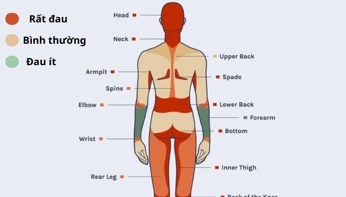 Xăm Có Đau Không? Sự Thật và Cách Giảm Đau Hiệu Quả 2026 Mức độ đau khi xăm hình mini