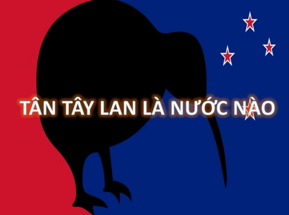 Tân Tây Lan là nước nào? Khám phá A-Z về Xứ sở Thần tiên Phong cảnh thiên nhiên Tân Tây Lan