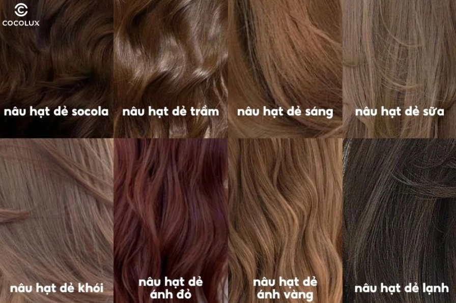 toc-mau-nau-hat-de-lanh-xu-huong-sang-chanh-2026-bi-quyet-so_140