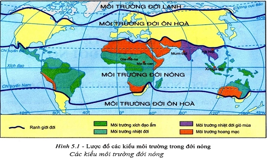 viet-nam-nam-trong-oi-khi-hau-nao-phan-tich-chuyen-sau-2026_549